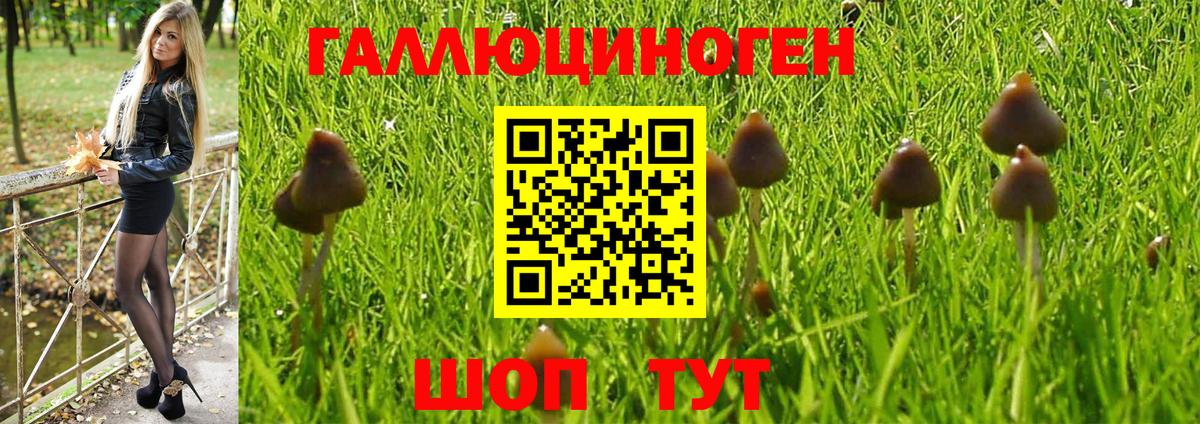 Галлюциногенные грибы Magic Shrooms  Вход с VPN  Кимры  Псилоцибиновые грибы Magic Shrooms 